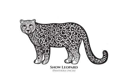 Snow Leopard with Names