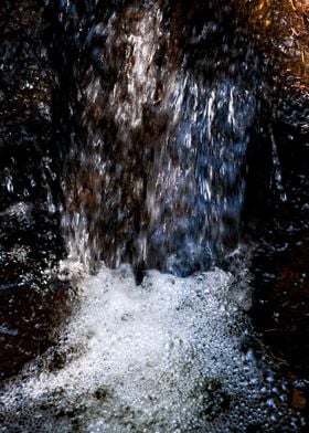 Forest Waterfall