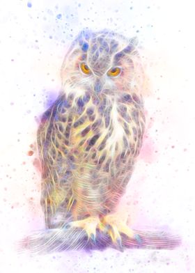 Owl fractal colored