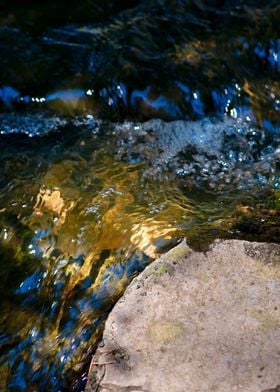 Clean Water Forest Brook