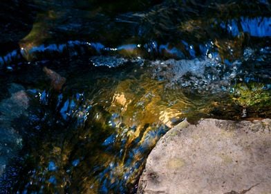 Clean Water Forest Brook 