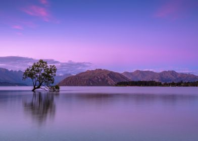 Purple Lake