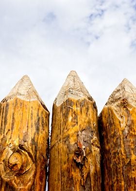 Poles Of Medieval Palisade