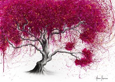 Magenta Kissing Tree