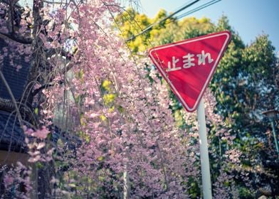 stop sign in japan