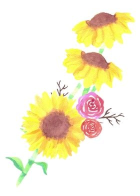 Sunflowers rose watercolor