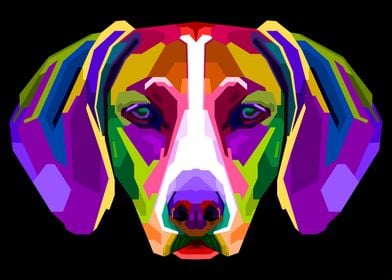 colorful vizsla dog