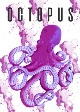 octopus 2