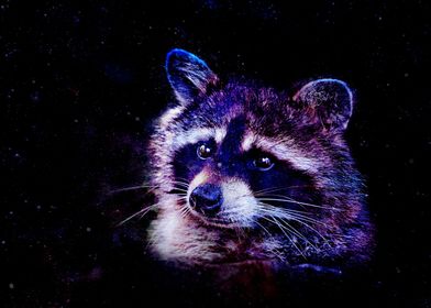 Cosmic Racoon 