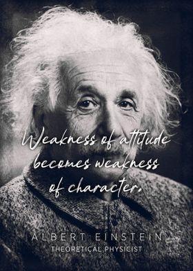 Albert Einstein Quote 8