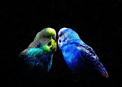 Cosmic Birds