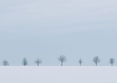 winter tree minimalistic