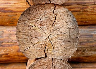 Front Edges Of Wooden Logs