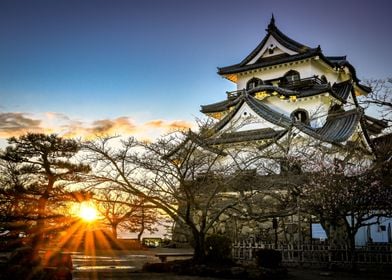 Hikone Castle at Sunset