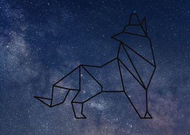 A geometric wolf