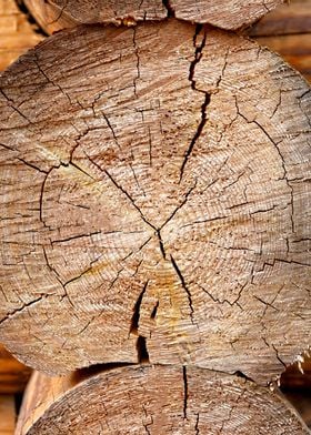 Front Edges Of Wooden Logs