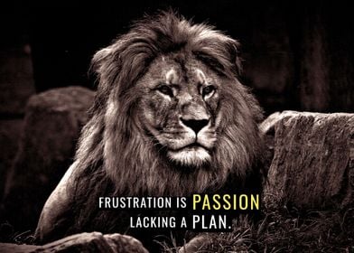 Passion lacking a Plan