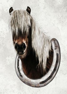 Pony Portrait 