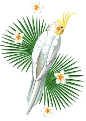 White parrot