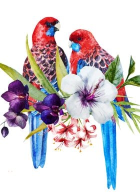 parrots and flowers