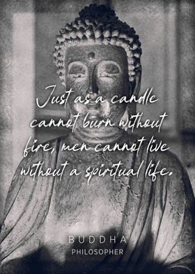 Buddha Quote 3