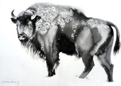 Wintery Bison2