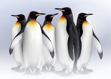 penguins