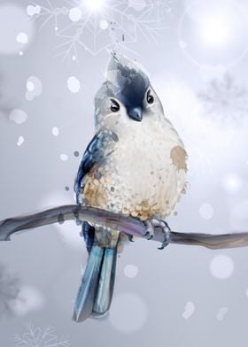 cutebird