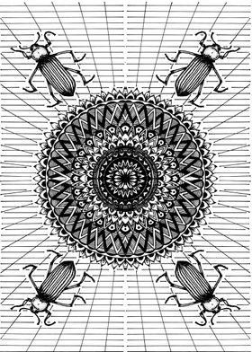 bugs with mandala