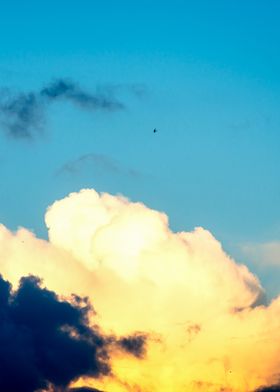 Swallow Bird And Clouds