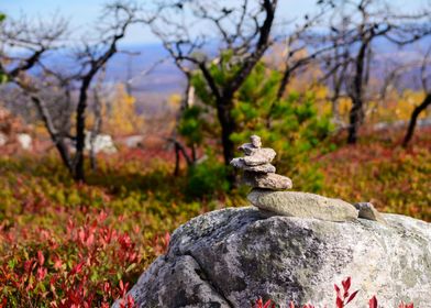 Stacked Rocks in Fall