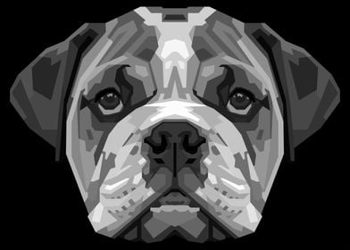 english bulldog