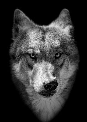 wild wolf head poster 