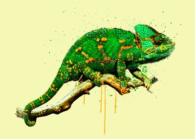 Veiled Chameleon Painting