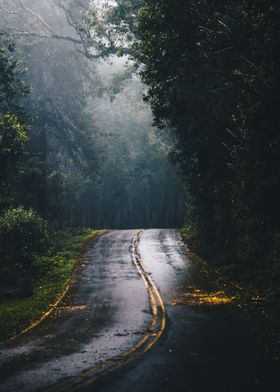 Autumn Road