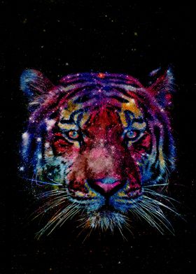 Cosmic Tiger