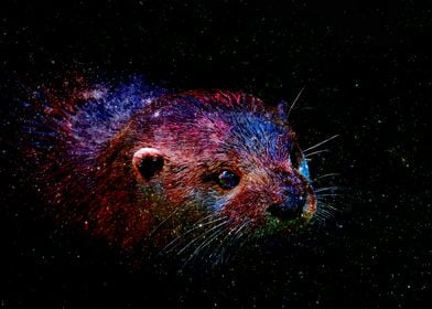 Cosmic Otter