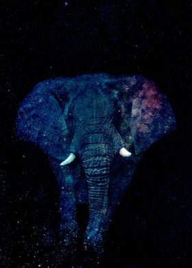 Cosmic Elephant