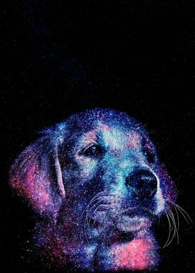 Cosmic Golden Pup