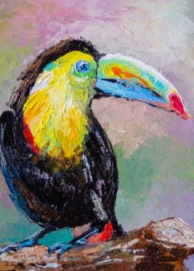 Toucan bird