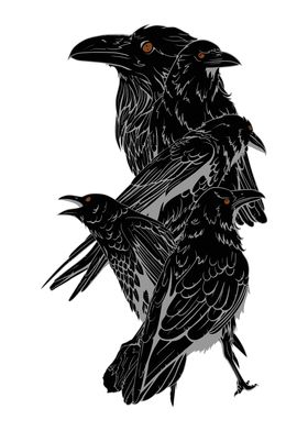 Five Ravens