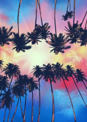 summer palms