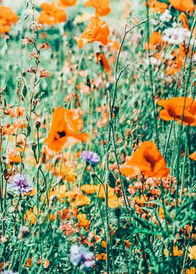 Eva | Nature Floral Meadow