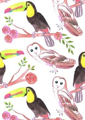 toucans barn owls flowers