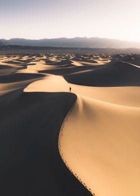 Desert landscape