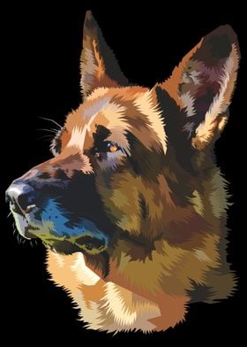 german shepherd