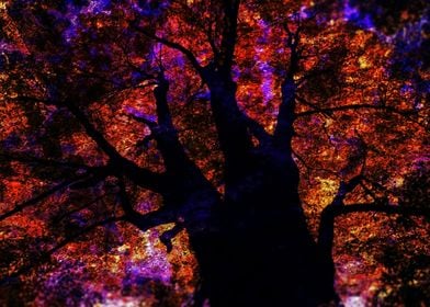 Vivid Abstract Tree