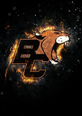 BC LIONS 