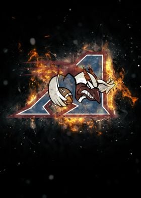 MONTREAL ALOUETTES