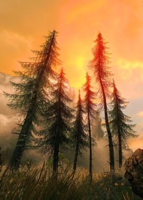 Pine Woods Sunset Fantasy
